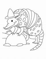 Coloring Pages Aardvark Getcolorings Armadillo sketch template