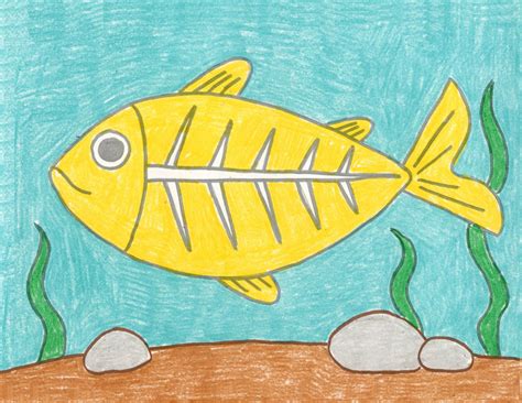 easy   draw   ray fish tutorial  coloring page