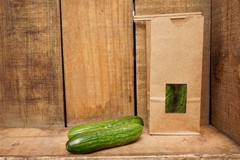 mini persian cucumbers kristins farm stand