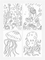 Sea Coloring Under Pages Drawing Ecosystem Ocean Marine Invertebrates Getcolorings Drawings Designlooter Getdrawings Paintingvalley 05kb Color Printable sketch template