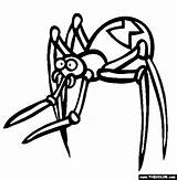Widow Venomous Creatures Thecolor sketch template
