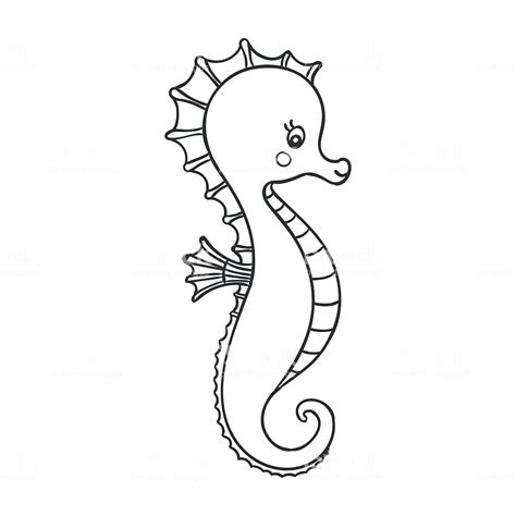seahorse drawing outline  paintingvalleycom explore collection