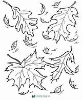 Fall Coloring Pages Leaves sketch template