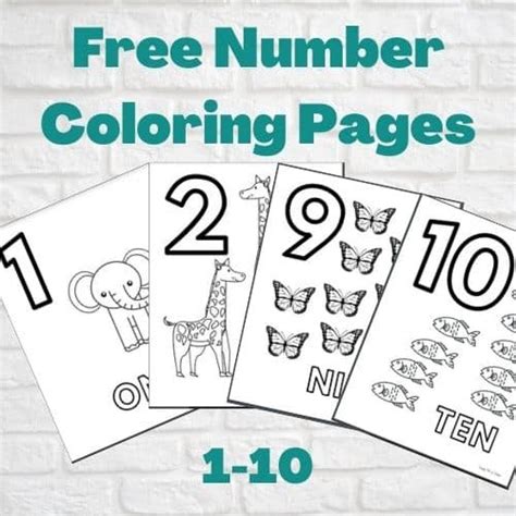 printable number coloring pages  kids  cute number