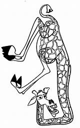 Madagascar Melman Jirafa Giraffe Dibujo Giraffa Ausmalbilder Cartone Stampare Cartonionline Template sketch template