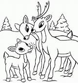 Reh Hirsch Kleurplaat Weihnachten Malvorlage Hertje Malvorlagen Rentier Tiere Printables Rudolph Weihnachts sketch template