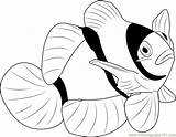 Fish Coloring Clown Pages Clownfish Water Drawing Printable Maroon Yellowstripe Color Getcolorings Getdrawings Xcolorings Popular Coloringpages101 sketch template