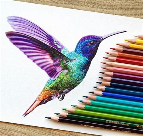 color pencil drawings    cooing  joy bored art