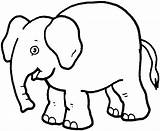 Baby Elephant Coloring Pages sketch template