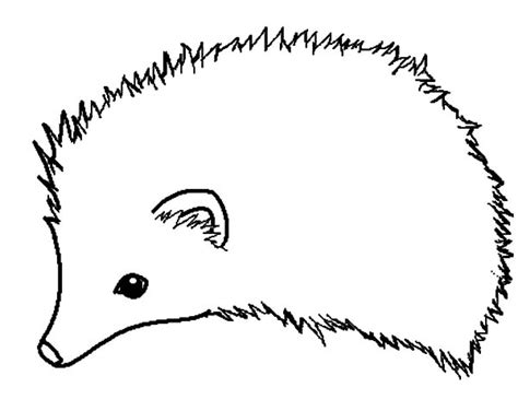 gambar hedgehog coloring page getcoloringpages hedgehogs baby cute