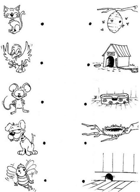 animal homes coloring pages  coloring pages attivita  bambini
