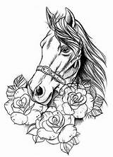 Horse Coloring Pages Tattoo Colouring Head Kinda Animal Choose Board Sheets sketch template