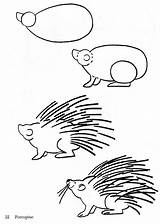 Porcupine Draw Drawing Coloring Pages Animal Kids Animals Baby Drawings Bestcoloringpagesforkids Easy Sheet Tips Step Zoo Simple sketch template