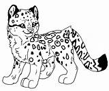 Leopard Coloring Baby Snow Pages Leopards Ocelot Printable Drawing Cute Cartoon Amur Ausmalbilder Color Print Getcolorings Getdrawings Designlooter Coloringbay Colorings sketch template