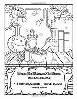 Aromatherapy Chamomile sketch template