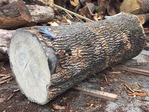 lumber logs blog