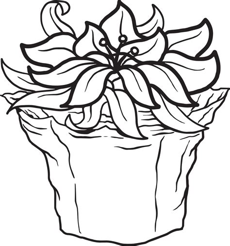 printable poinsettia coloring page  kids supplyme