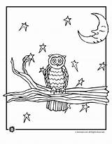 Coloring Night Owl Pages Kids Fall Animals Activities Nocturnal Animal Colouring Color Animaljr Printable Halloween Owls Gif Designlooter Printables Jr sketch template