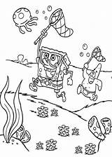 Spongebob Jellyfish Patrick Coloriage Esponja Mewarnai Coloring Sponge sketch template