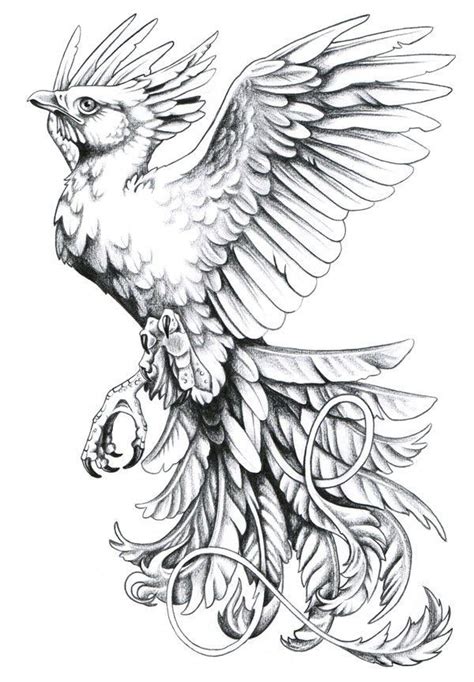 pin  winged creature coloring pages