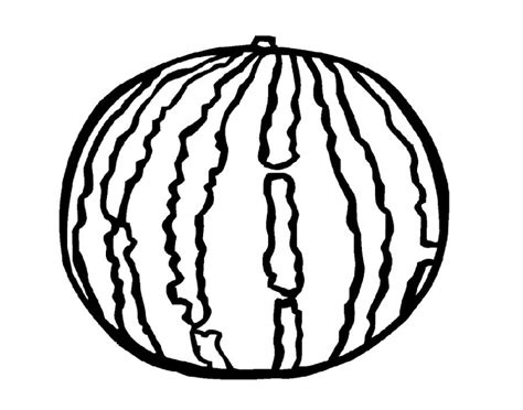 watermelon pictures  color coloring pages png  file