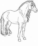 Para Caballos Horse Coloring Pages Imprimir Drawings Pintar Line Colorear Fino Paso Animal Horses Sketches Animals Color Mustang Clipart Dibujos sketch template