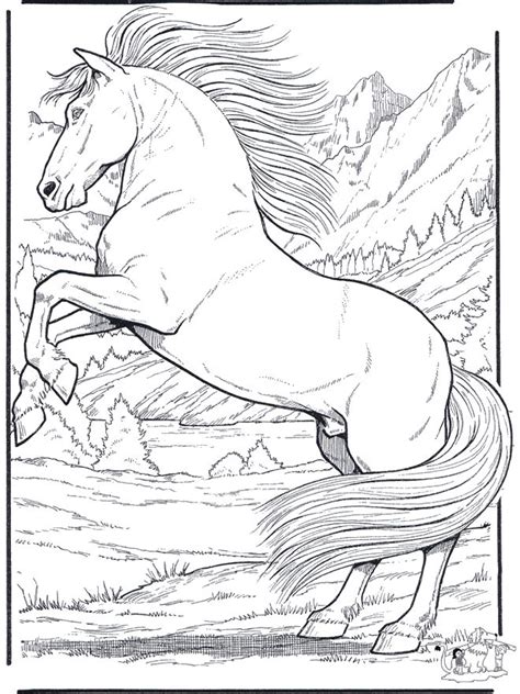printable realistic horse coloring pages