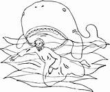Jonah Jona Giona Wal Balena Historia Biblica Profeta Ballena Prophet Baleia Humpback Jonás sketch template