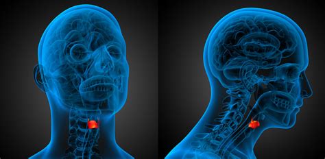 successful series  procedures  patient  laryngeal cancer