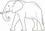 Elephant Coloringpages101 sketch template