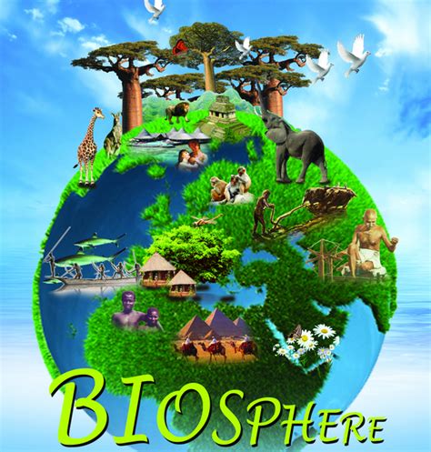 natural science     biosphere