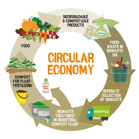 eu report concludes  bioplastics play  important role  circular economy biobag