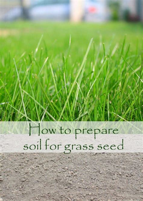 Preparing Ground For Turf Crucial Steps For Growing A