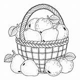 Pears Apples Illustrazione Pere Raccolto Mele Canestro Ringraziamento Frutas Verduras Ripe sketch template