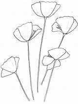 Poppy Drawing Outline Template California Colouring Flower Easy Flowers Drawings Kids Clipart Tattoo Poppies Line Simple Printable Sketch Coloring Getdrawings sketch template