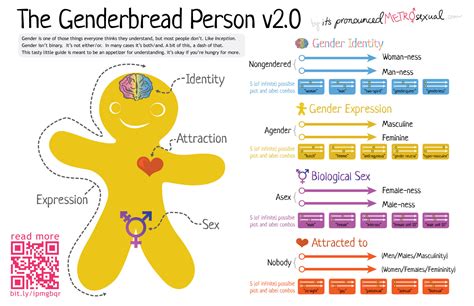 differences between gender identity biological sex and sexual attraction