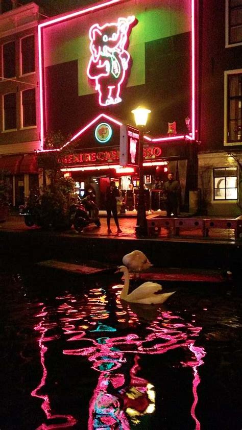 casa rosso erotic theatre in amsterdam s red light district amsterdam