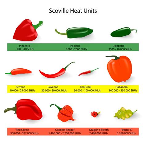 What’s Hotter Mild Or Medium Full Breakdown