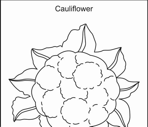 printable fruit coloring pages  thiva hellas