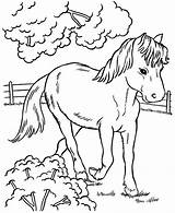 Horse Coloring Horses Print Color Pages Pony Colouring Printable Baby Kids Animals Farm Animal Sheets 2212 Printing Drawing Disney Pal sketch template