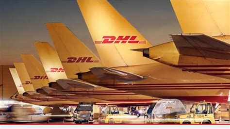 dhl programmes graduate  south africans youth opportunities hub