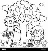 Harvesting Orchard sketch template