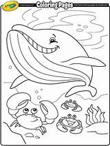 Coloring Pages Whale Crayola Summer Kids Printable Color Christmas Sea Sheets Under Template Print Book 색칠 도안 Getcolorings 여름 Colouring sketch template