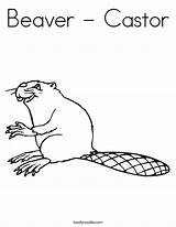 Coloring Beaver Castor Built California Usa sketch template