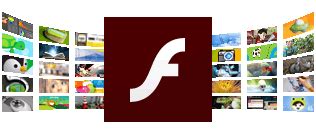 adobe flash player install   versions