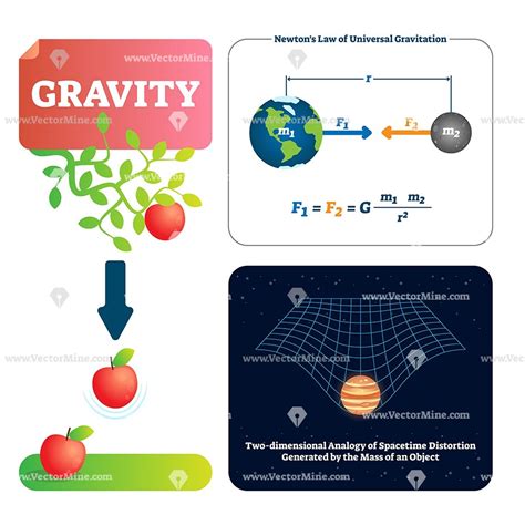 definition  force  gravity  physics dfinitus