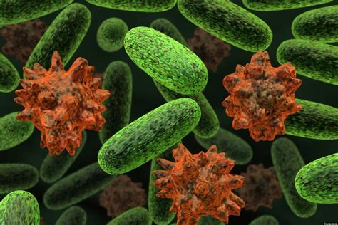 e coli infection doctors warn of long term effects from