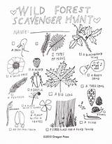 Scavenger Wild sketch template