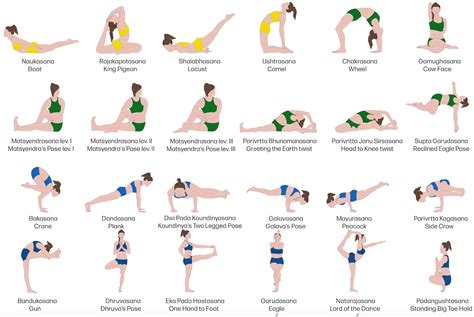 hatha yoga poses beginners work  picture media work  picture