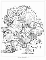 Coloring Pages Sea Seashells Shells Printable Beach Book Seashell Color Adult Fish Mandala Etsy Ocean Life Colouring Getdrawings Grown Ups sketch template